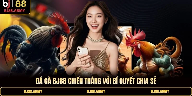 Đá gà BJ88 chiến thắng với bí quyết chia sẻ Đá gà BJ88 chiến thắng với bí quyết chia sẻ